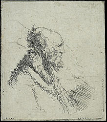 Bald Old Man with a Short Beard, in profile, Right